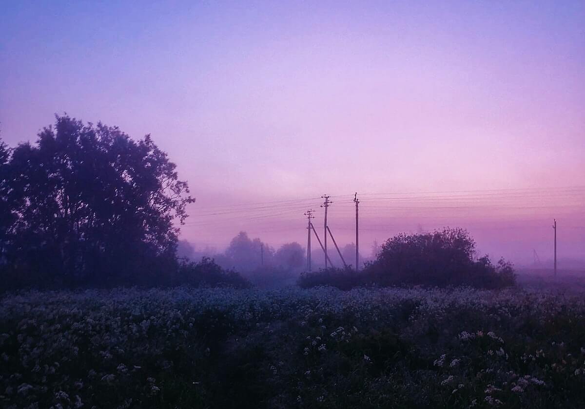 这个“主场”有点冷！NBA各队仍需适应空荡球馆